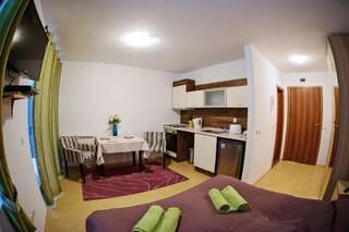 Апарт-отели Predela 2 Aparthotel Банско Номер-студио - Первый этаж-6